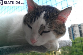 Siatki Głowno - Siatka na balkony dla kota i zabezpieczenie dzieci dla terenów Głowno
