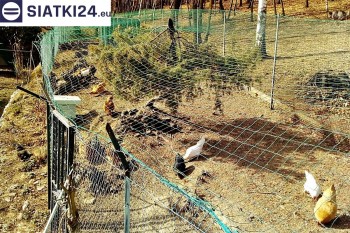 Siatki Głowno - Siatka na woliery - zabezpieczenia ptaków w hodowli dla terenów Głowno